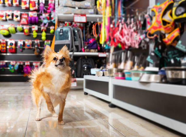 Petshop reyonu